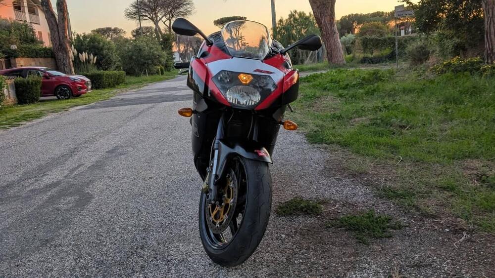 Aprilia RSV 1000 (2003 - 04) (4)