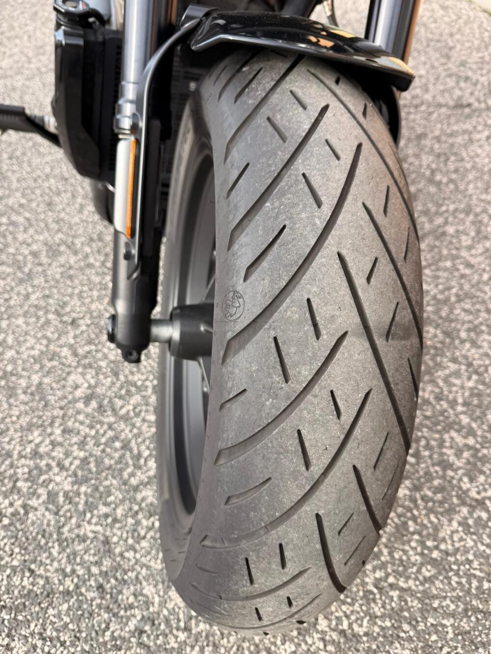 Harley-Davidson Sportster S (2022 - 24) (3)