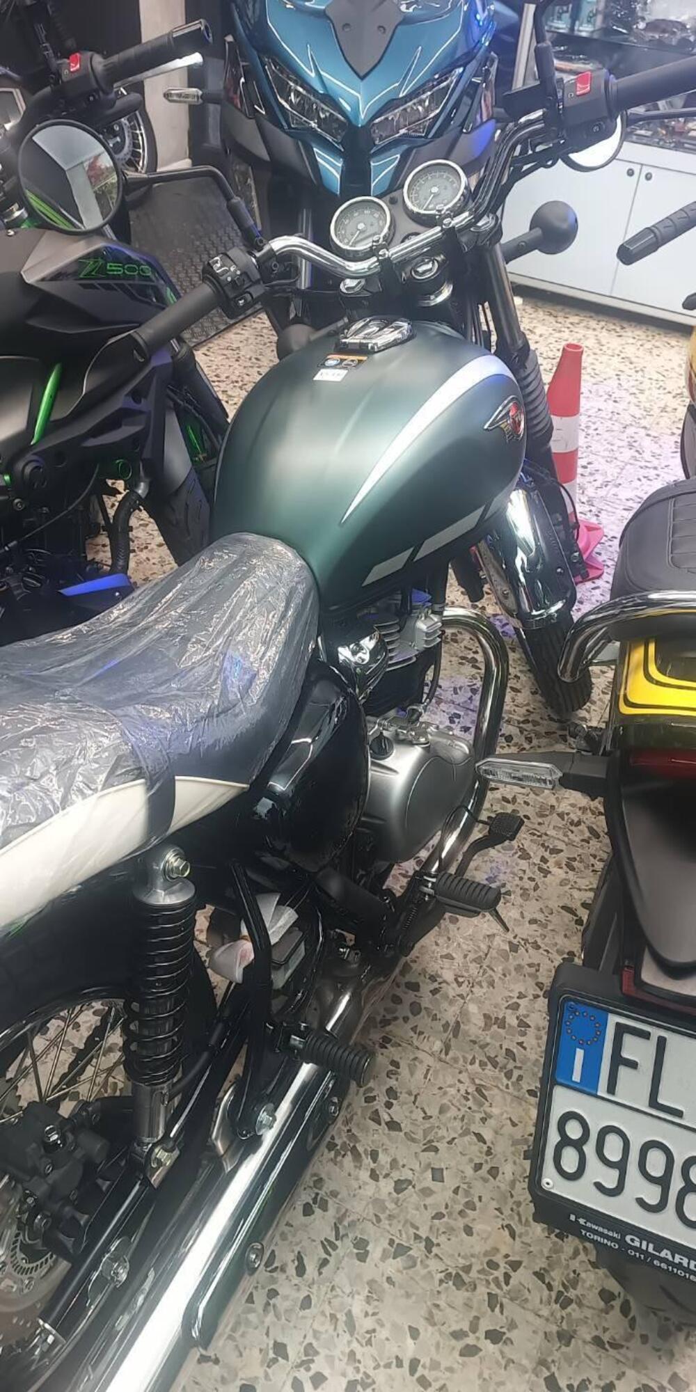 Kawasaki W 230 (2025 - 26)