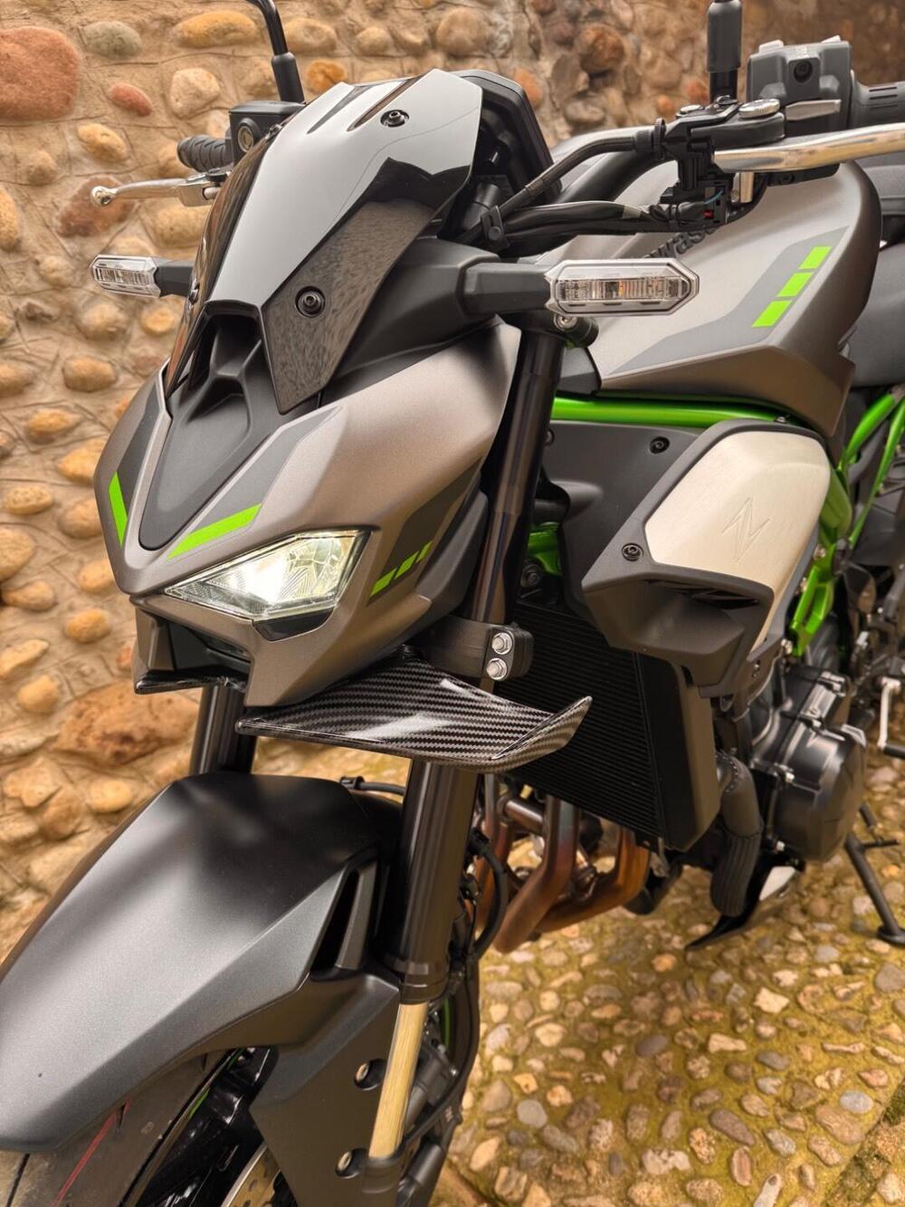 Kawasaki Z 900 (2025 - 26)