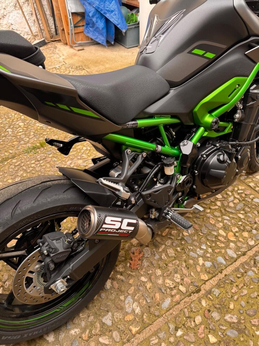 Kawasaki Z 900 (2025 - 26) (6)