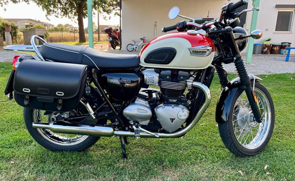 Triumph Bonneville T100 (2017 - 20) (3)