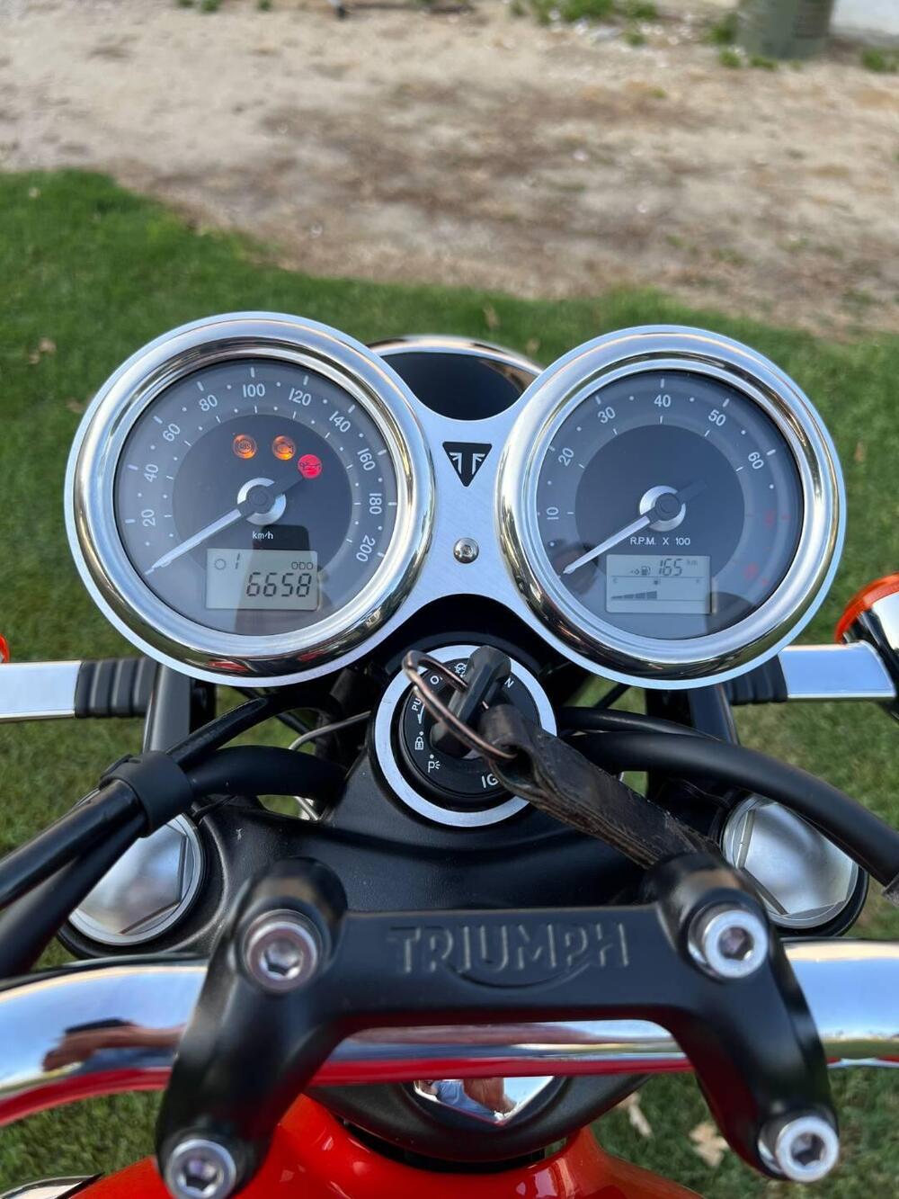 Triumph Bonneville T100 (2017 - 20) (6)