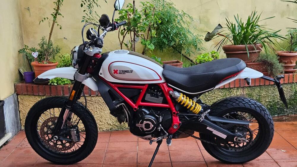 Ducati Scrambler 800 Desert Sled (2017 - 20) (6)