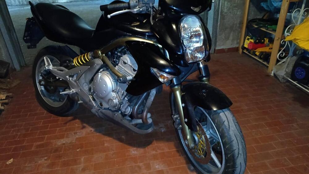 Kawasaki ER-6N (2006 - 09) (2)