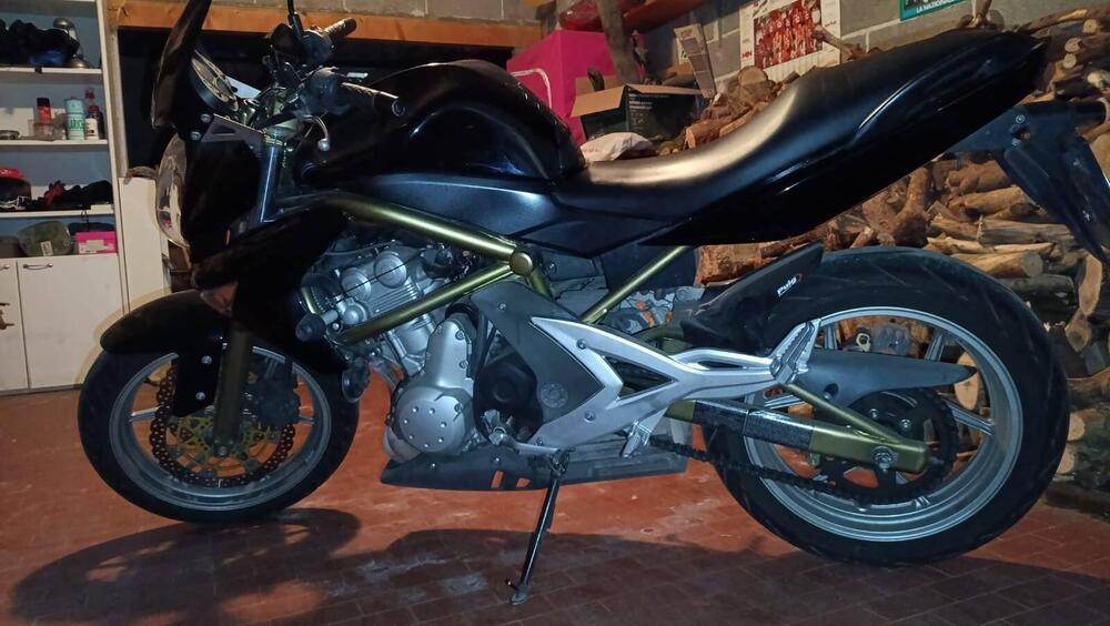 Kawasaki ER-6N (2006 - 09) (3)