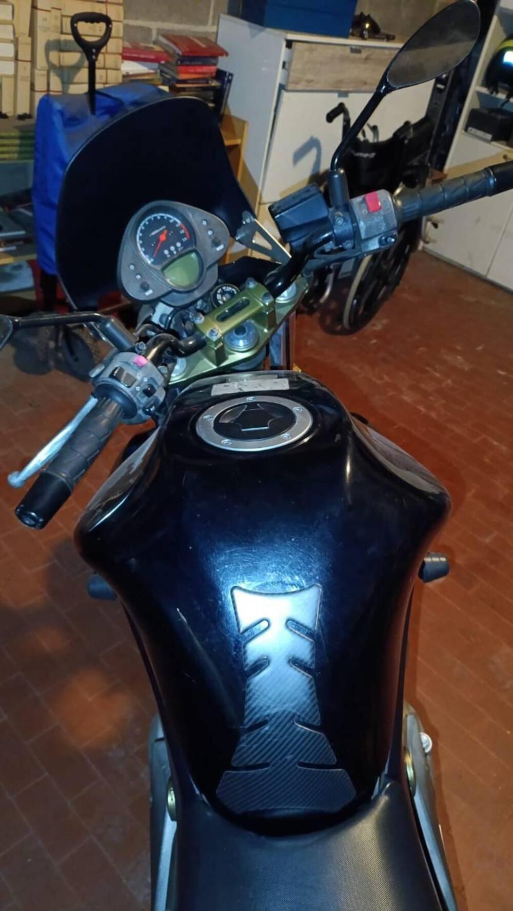 Kawasaki ER-6N (2006 - 09) (5)