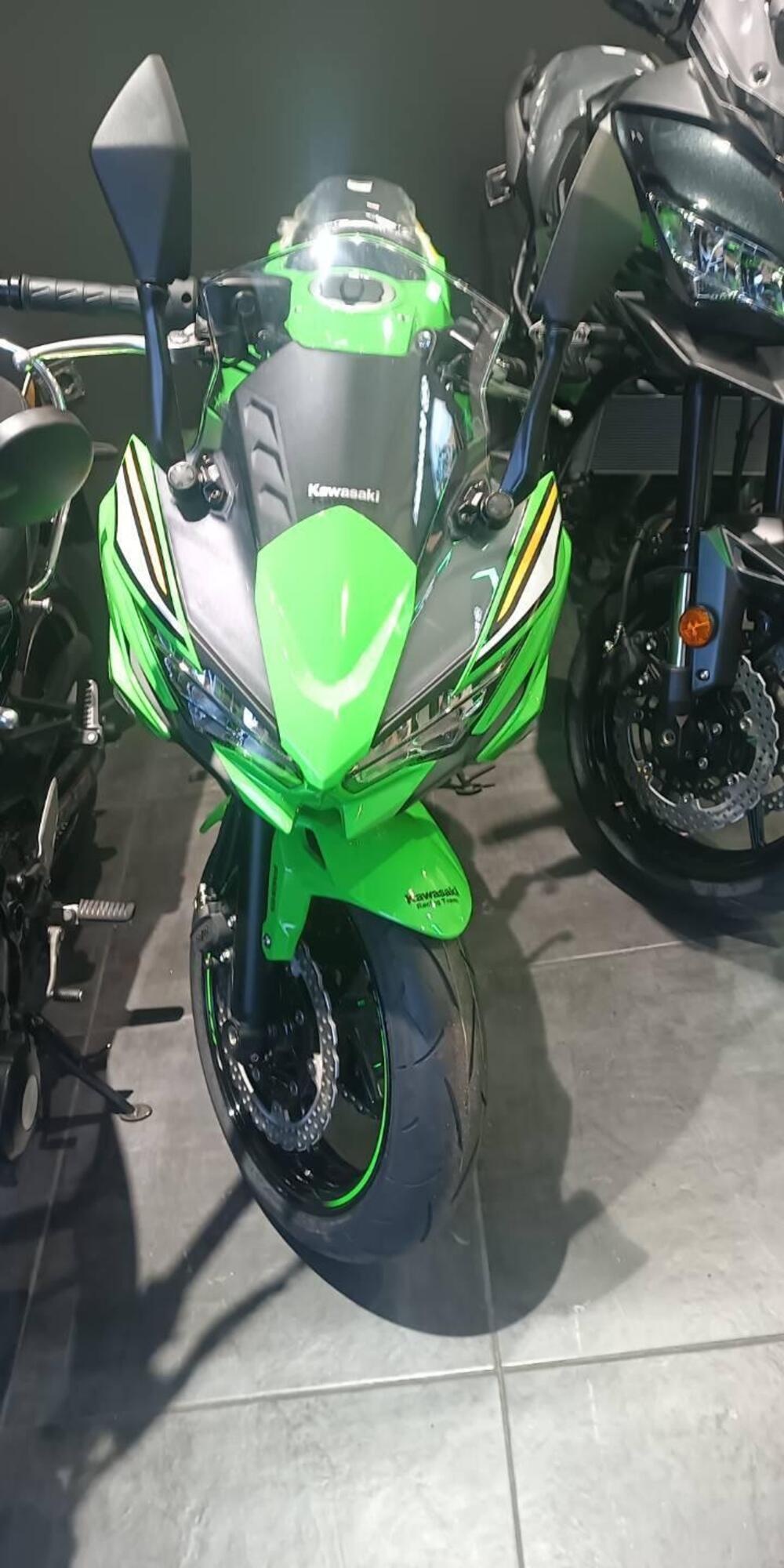 Kawasaki Ninja ZX-4RR (2024 - 26) (2)