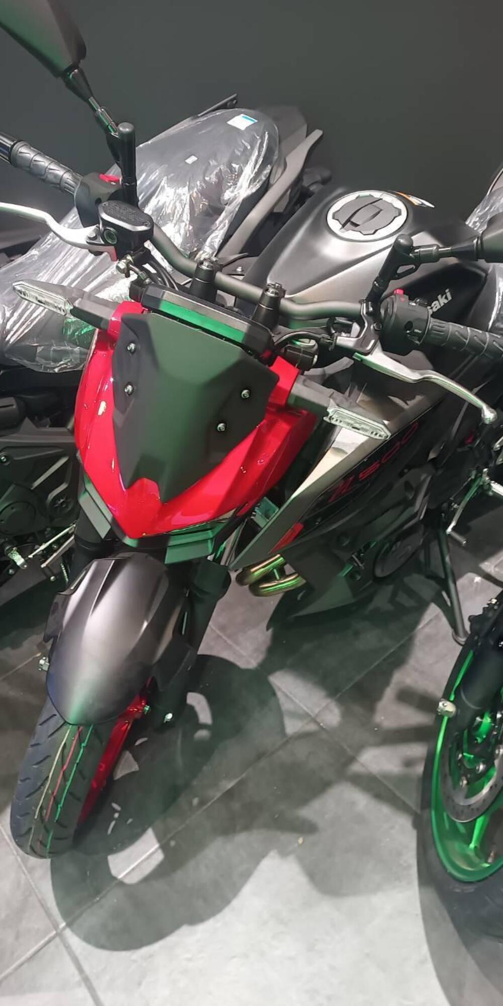 Kawasaki Z 500 SE (2024 - 26) (2)