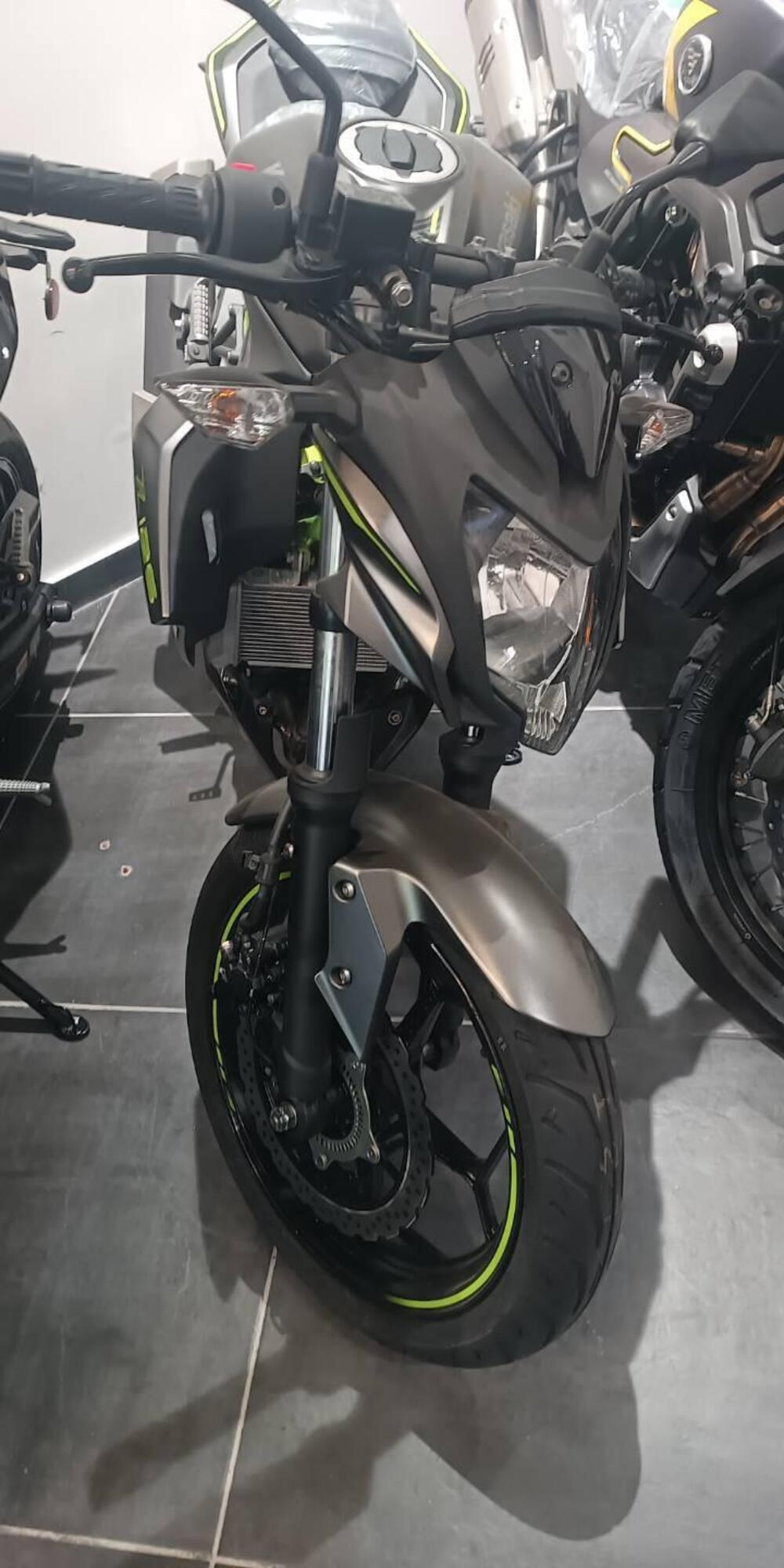 Kawasaki Z 125 (2025 - 26) (3)