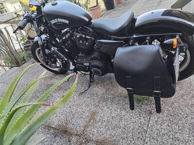 Harley-Davidson 1200 Forty-Eight (2010 - 15) usata