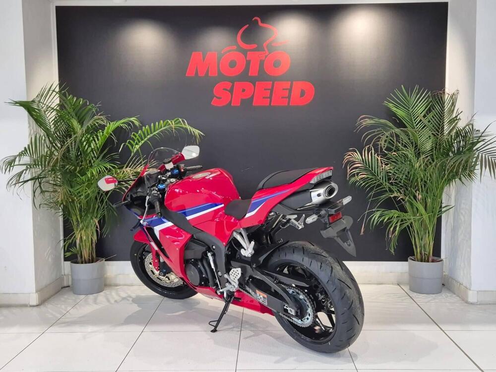 Honda CBR 600 RR (2024 - 26) (6)