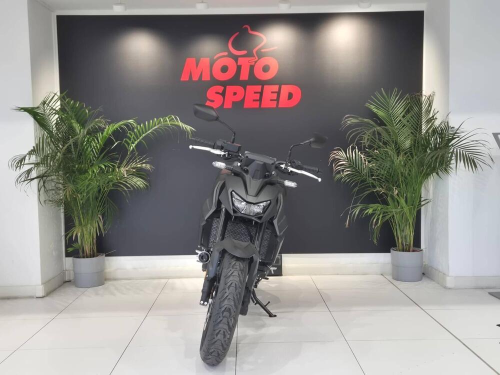 Honda CB 750 Hornet (2025) (3)