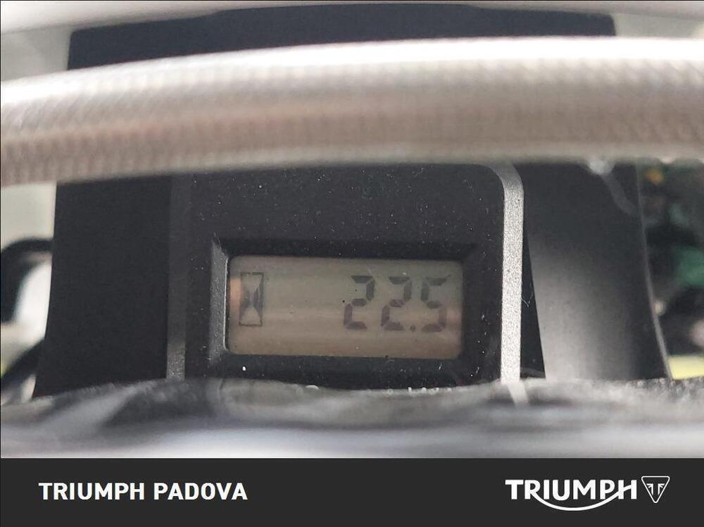 Triumph TF 250-X (2024 - 25) (2)