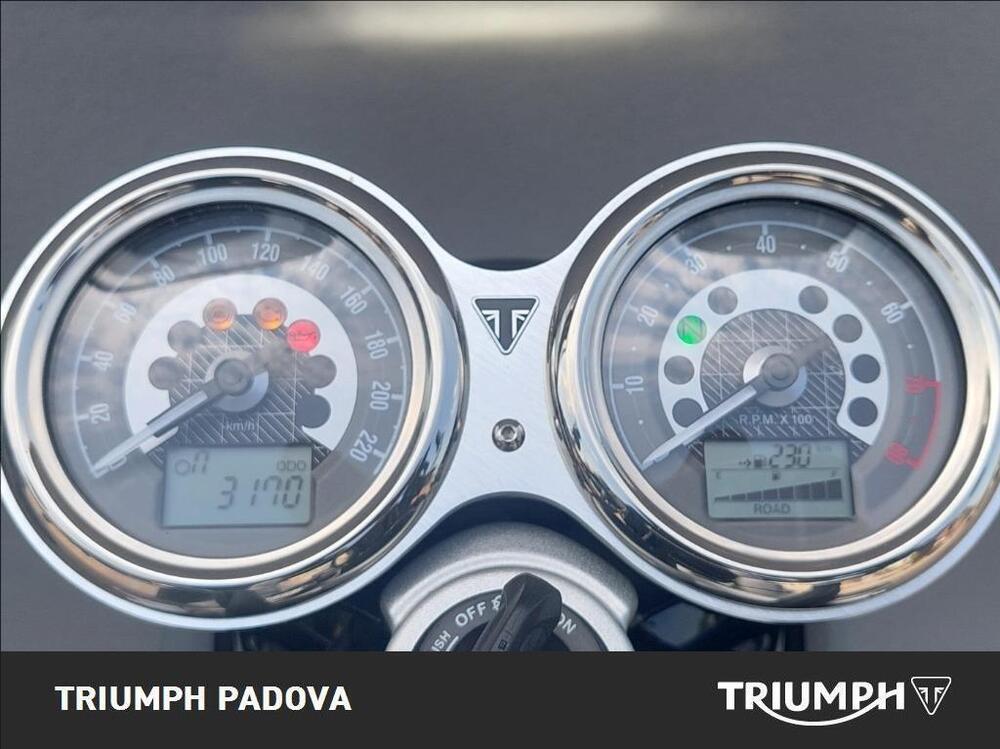 Triumph Speed Twin 1200 (2021 - 24) (13)