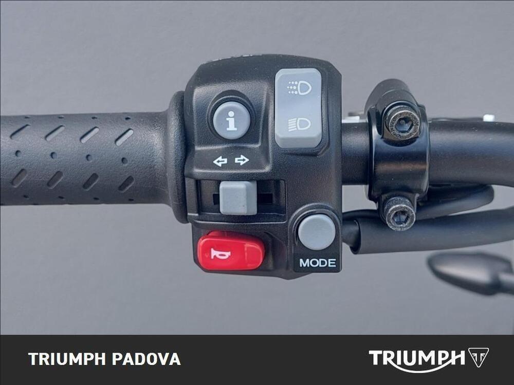 Triumph Speed Twin 1200 (2021 - 24) (12)