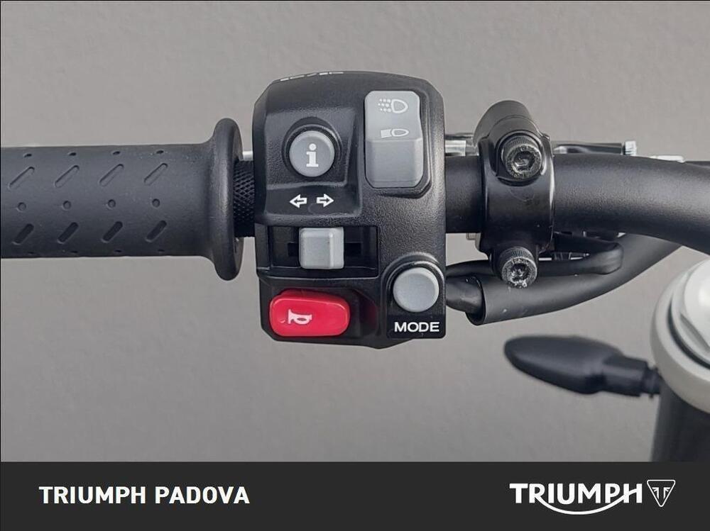 Triumph Speed Twin 1200 (2021 - 24) (12)