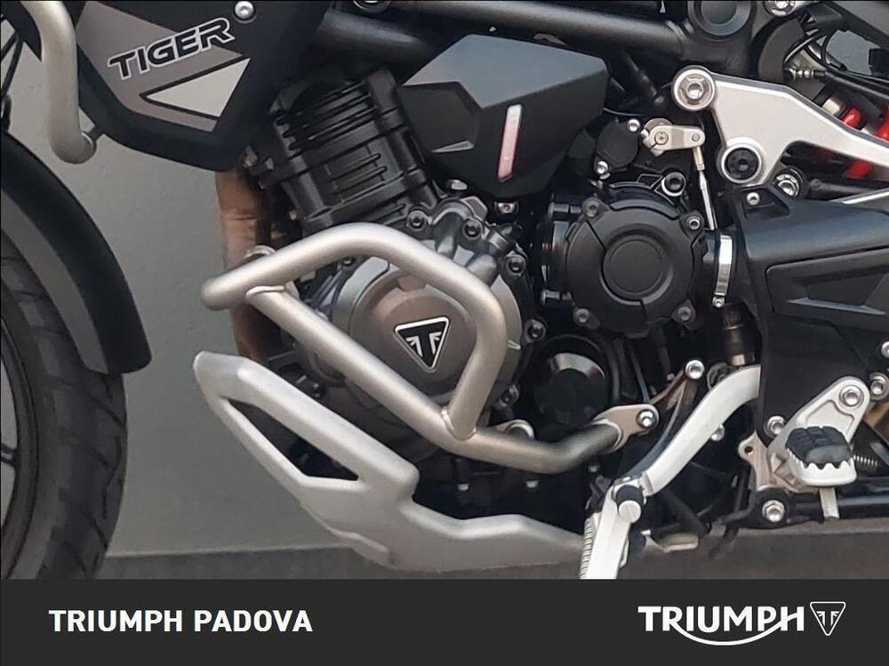 Triumph Tiger 1200 GT Pro (2022 - 23) (8)