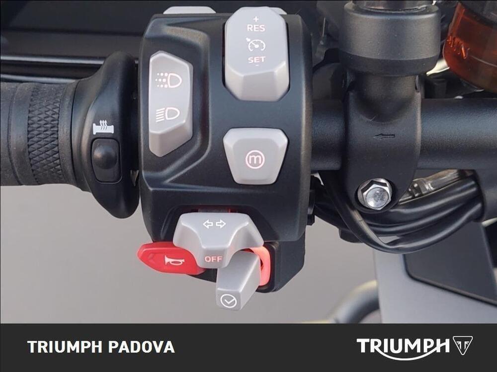 Triumph Tiger 1200 GT Pro (2022 - 23) (12)