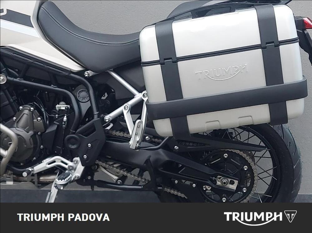 Triumph Tiger 900 Rally Pro (2020 - 23) (7)