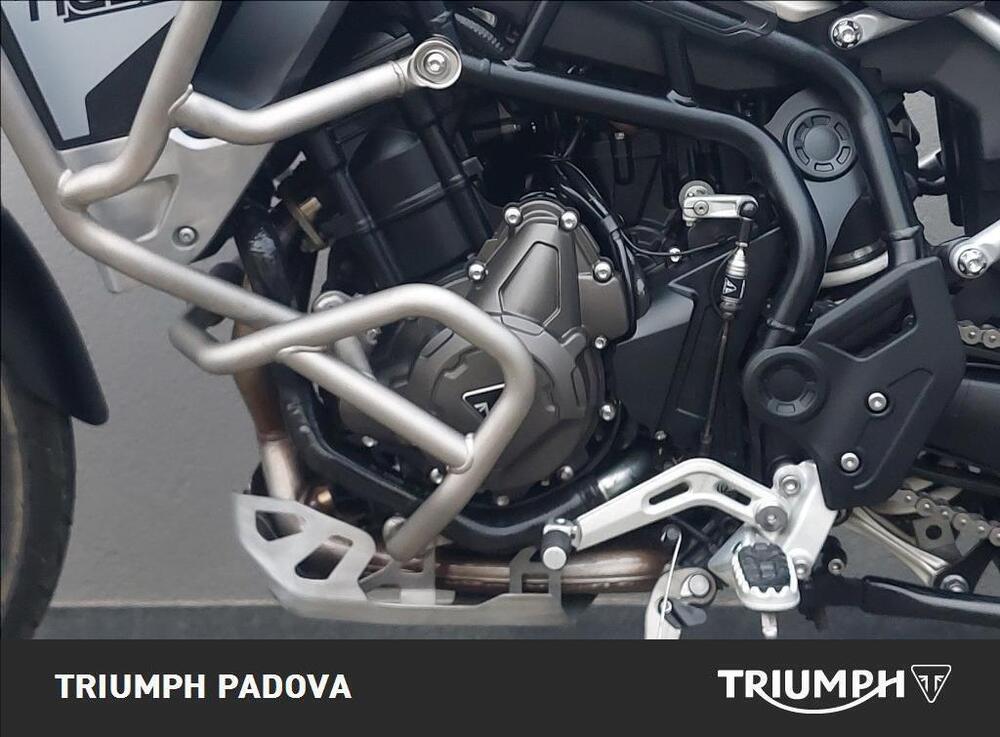 Triumph Tiger 900 Rally Pro (2020 - 23) (8)