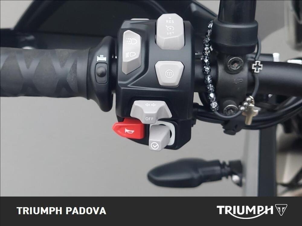 Triumph Tiger 900 Rally Pro (2020 - 23) (12)