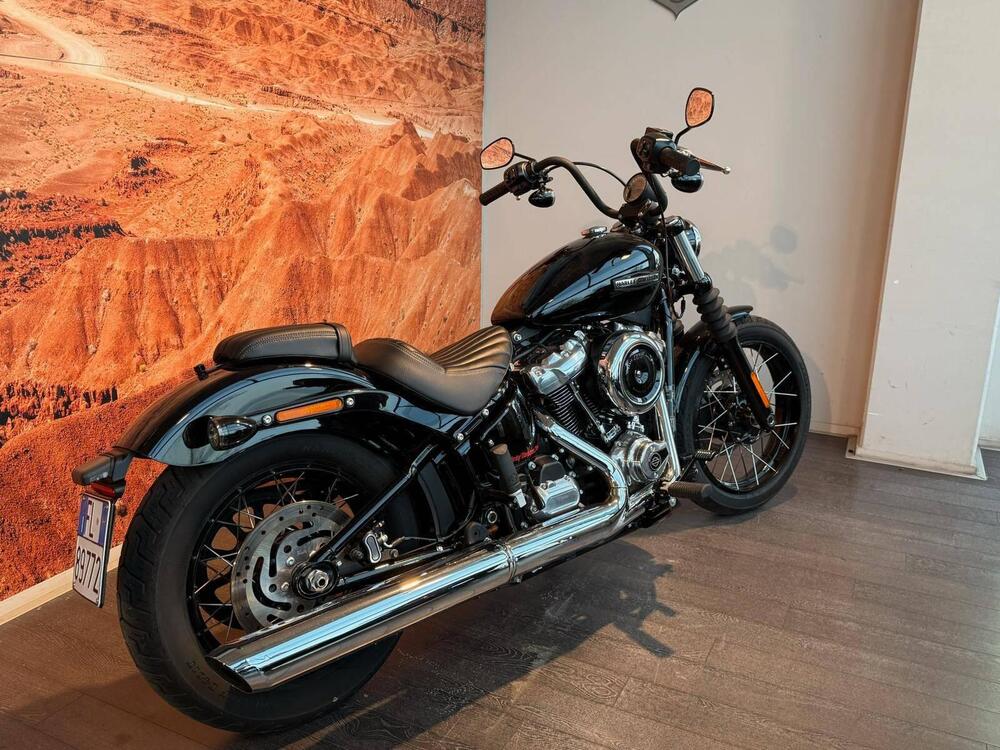 Harley-Davidson Street Bob 117 (2025 - 26) (3)
