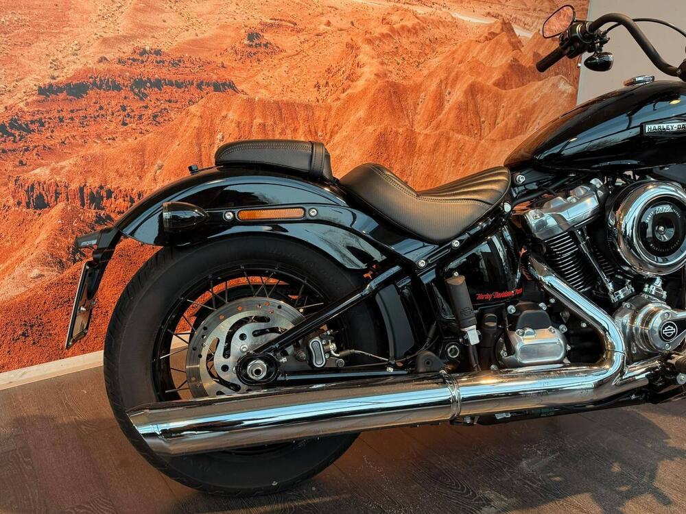Harley-Davidson Street Bob 117 (2025 - 26) (5)