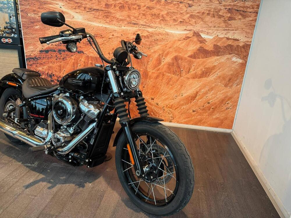 Harley-Davidson Street Bob 117 (2025 - 26) (7)