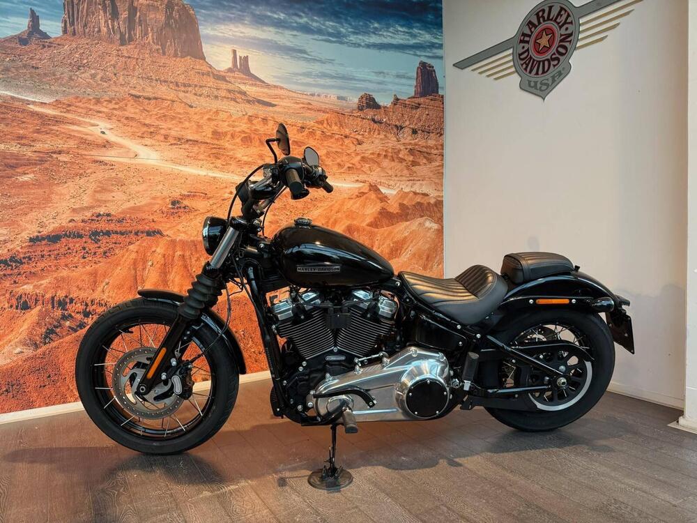 Harley-Davidson Street Bob 117 (2025 - 26) (8)