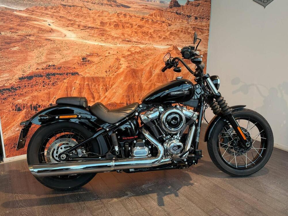 Harley-Davidson Street Bob 117 (2025 - 26) (9)