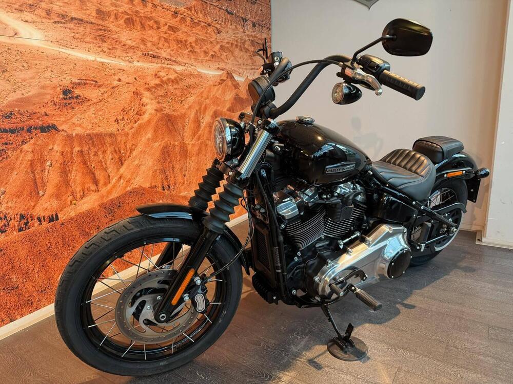 Harley-Davidson Street Bob 117 (2025 - 26) (11)