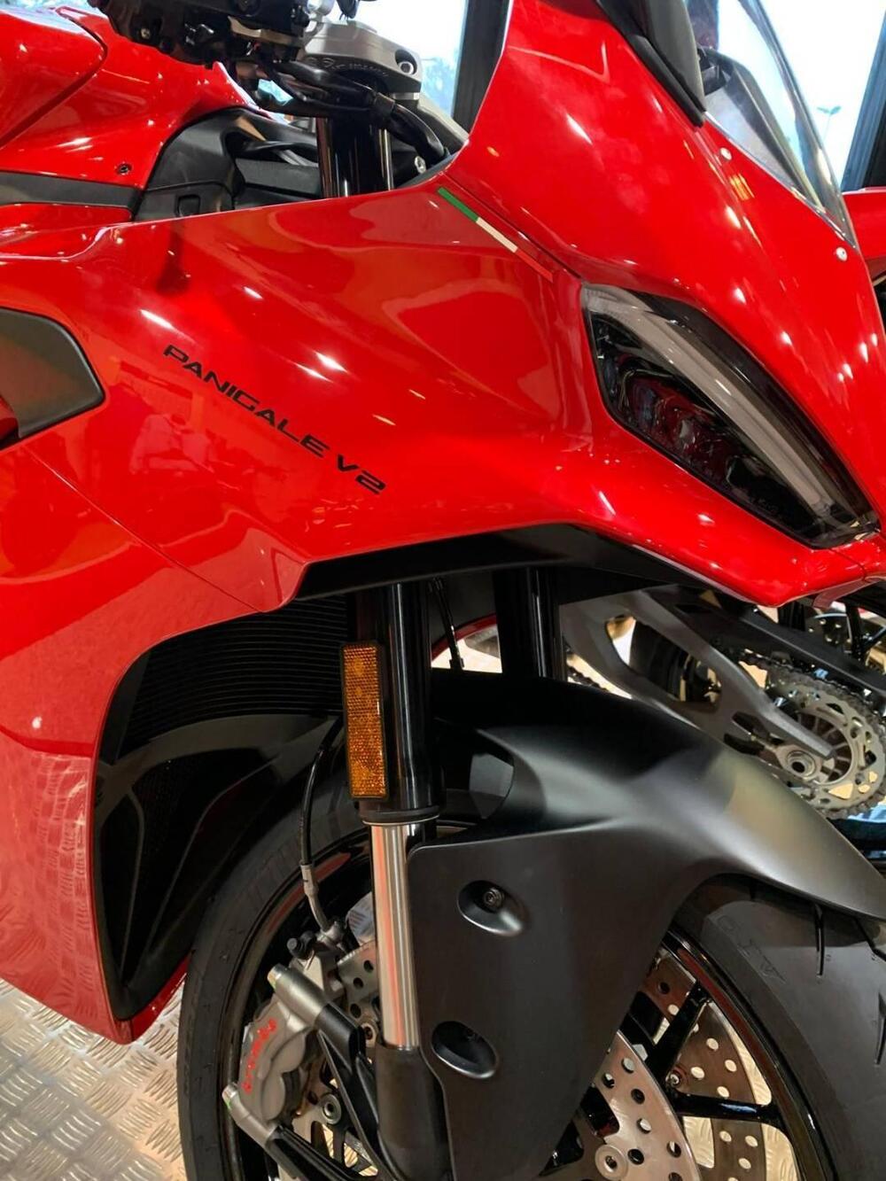 Ducati Panigale V2 (2025 - 26)