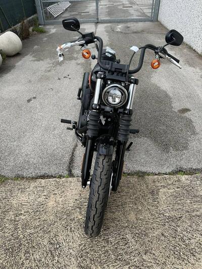 Harley-Davidson Street Bob 114 (2021 - 24) usata