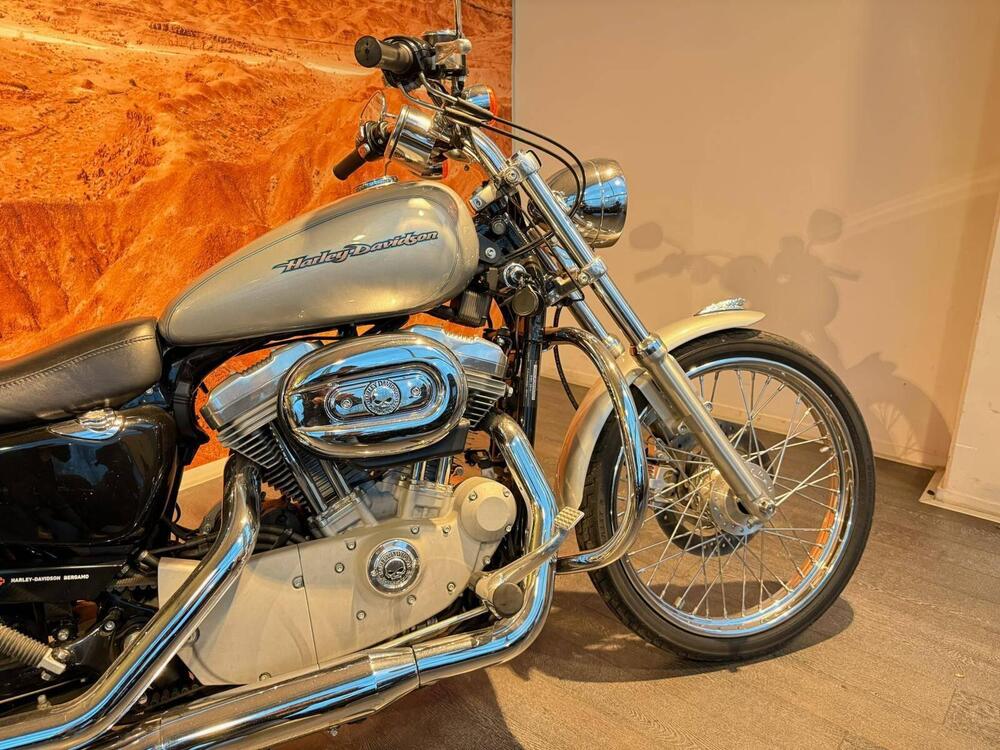 Harley-Davidson 883 Custom (2006 - 07) - XL 883C (2)