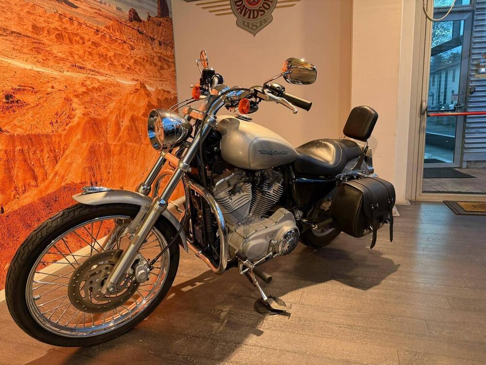 Harley-Davidson 883 Custom (2006 - 07) - XL 883C (6)