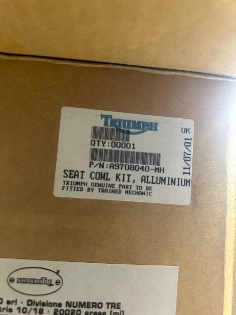 Mono posto posteriore Triumph (2)