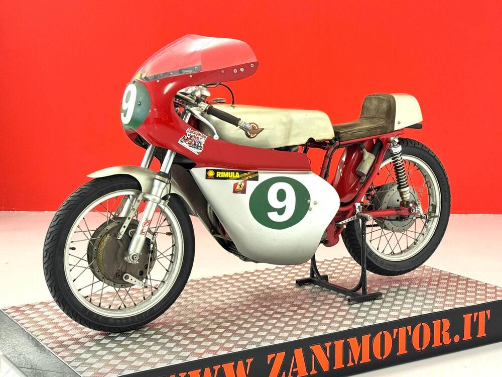 Ducati 250 CORSA (4)