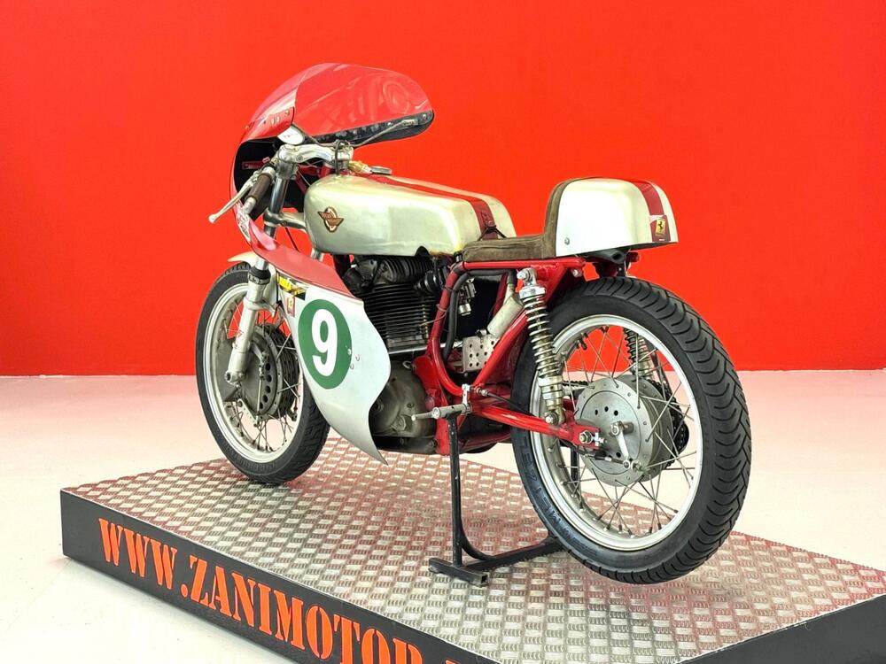 Ducati 250 CORSA (6)