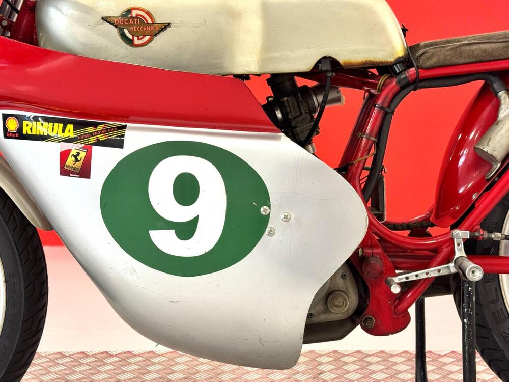 Ducati 250 CORSA (15)