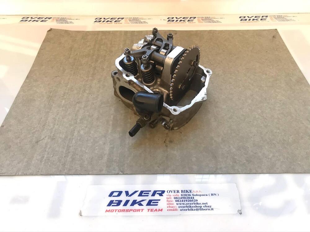 TESTA CECTEK GLADIATOR 500 (3)