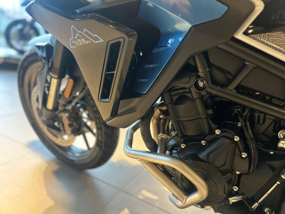 Triumph Tiger 900 Alpine Special Edition (2026) (5)