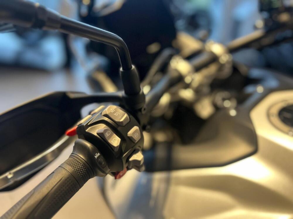 Triumph Tiger 900 Alpine Special Edition (2026) (6)