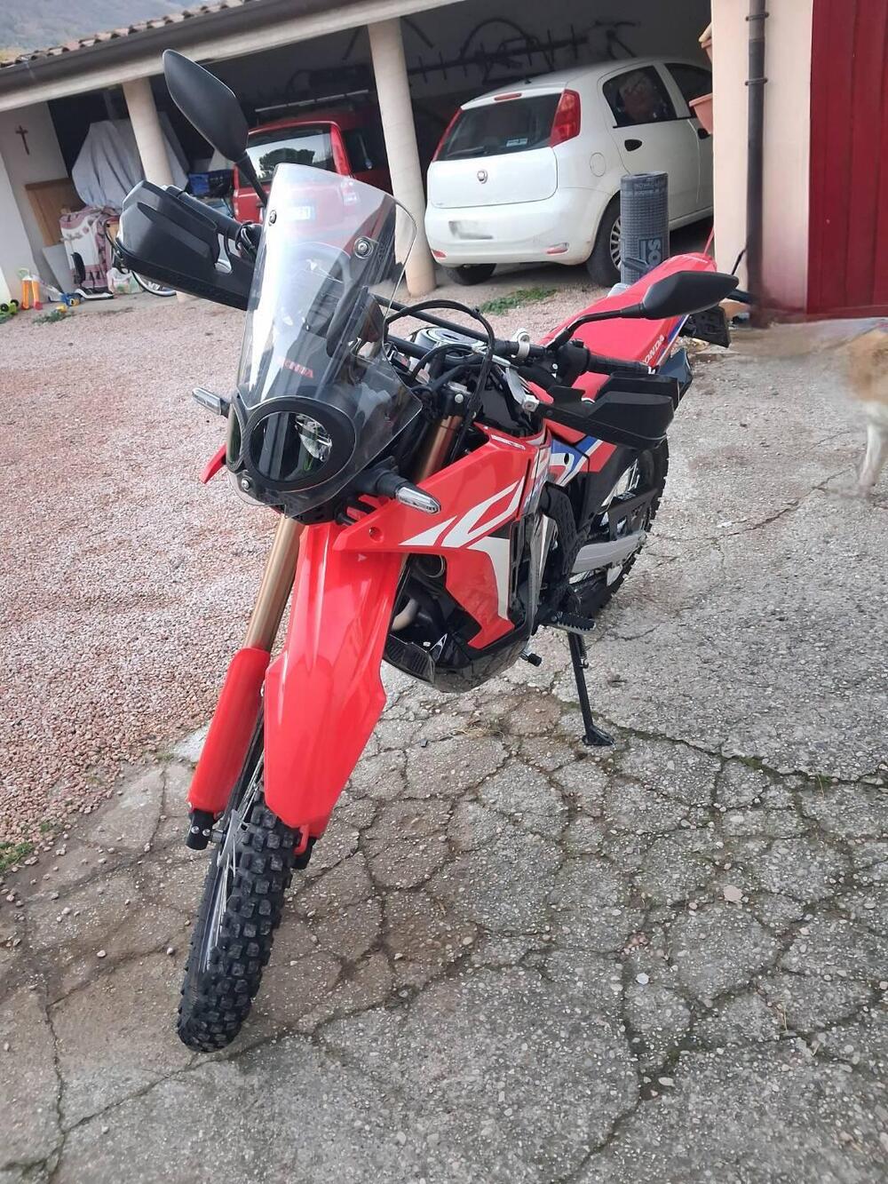Honda CRF 300 Rally (2021 - 24) (3)