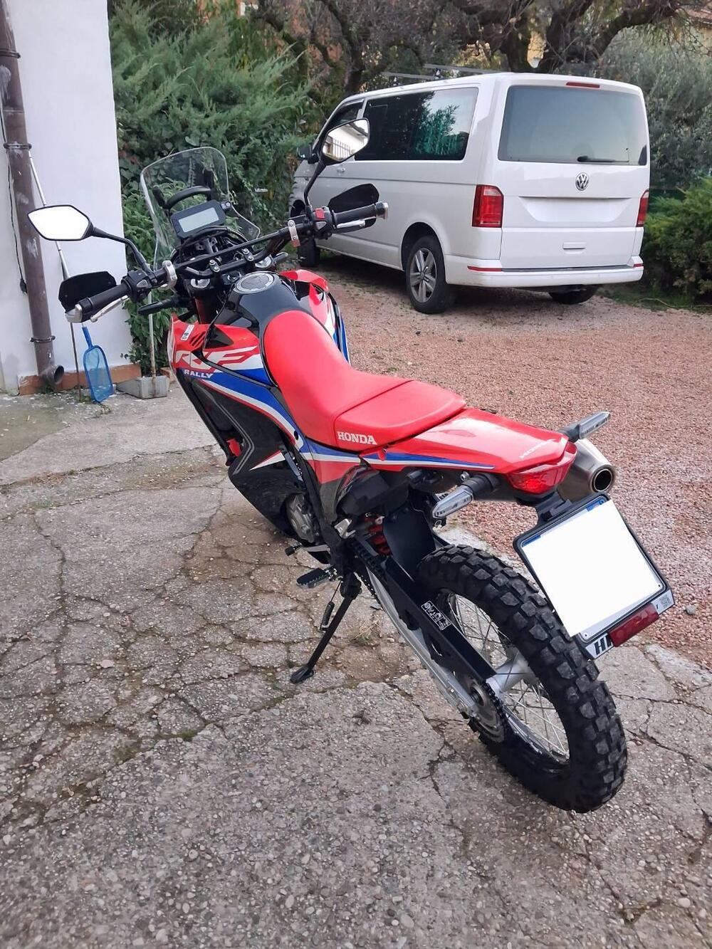 Honda CRF 300 Rally (2021 - 24) (5)
