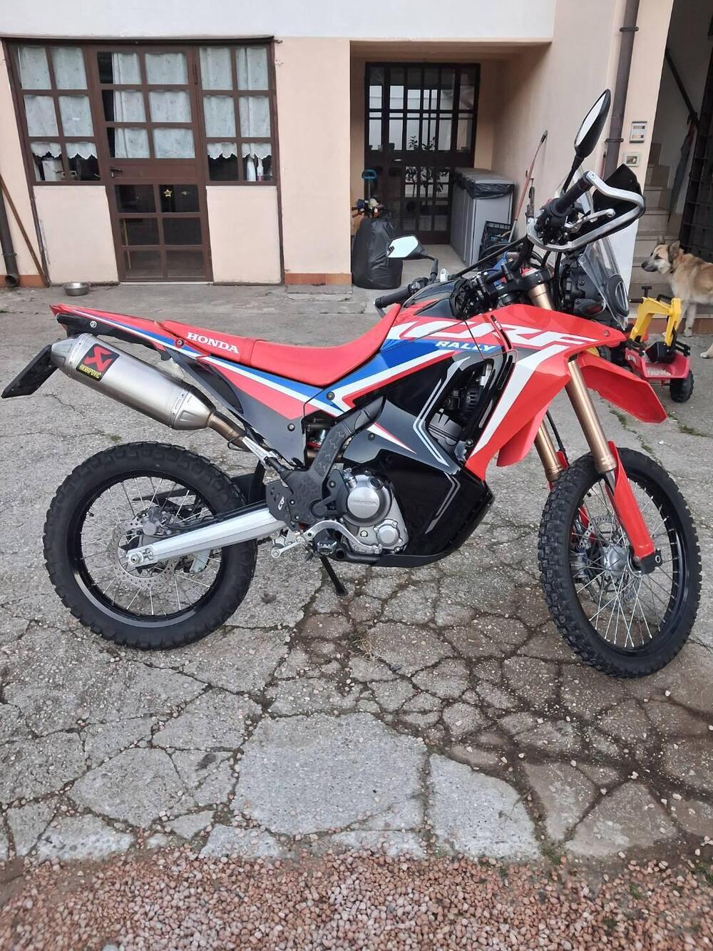 Honda CRF 300 Rally (2021 - 24)