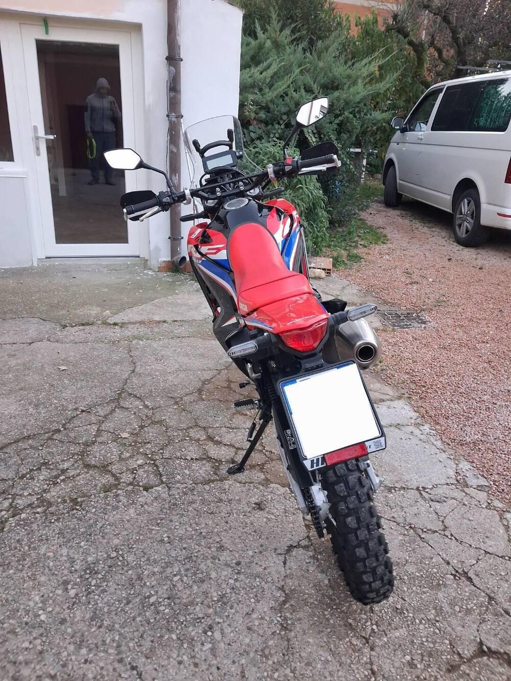 Honda CRF 300 Rally (2021 - 24) (6)
