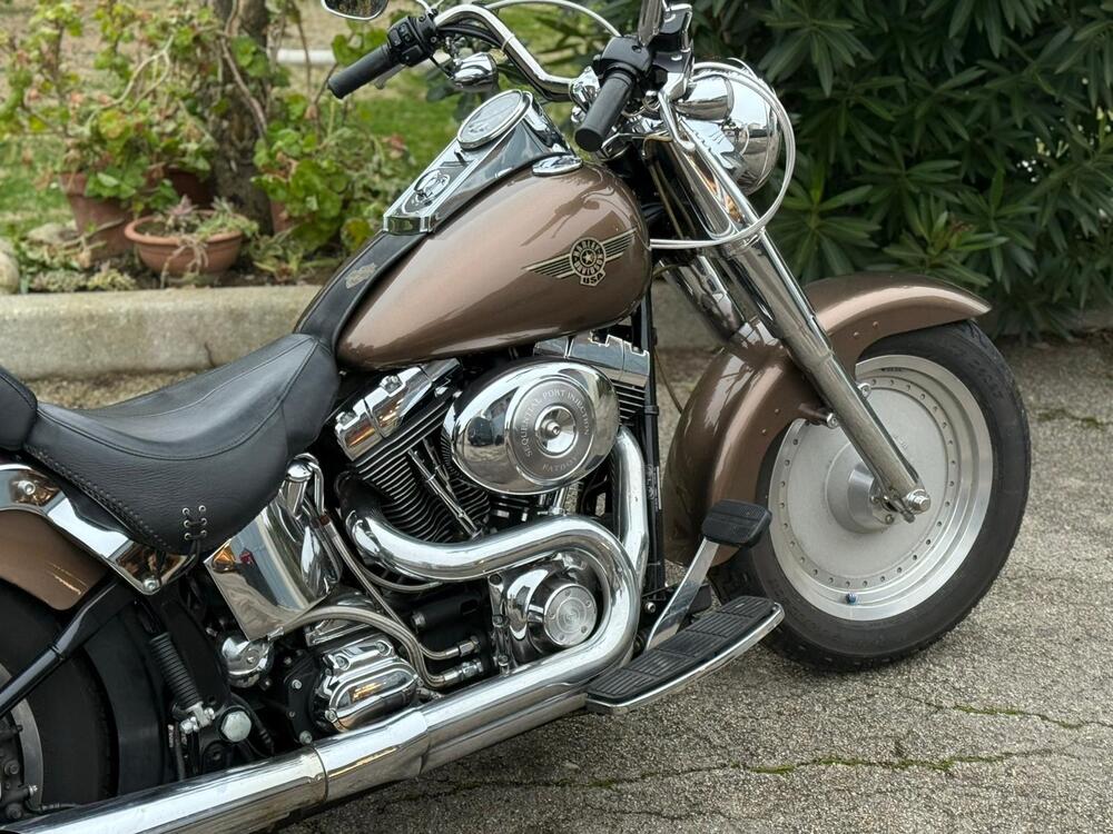 Harley-Davidson 1450 Fat Boy (2003 - 06) - FLSTFI (4)
