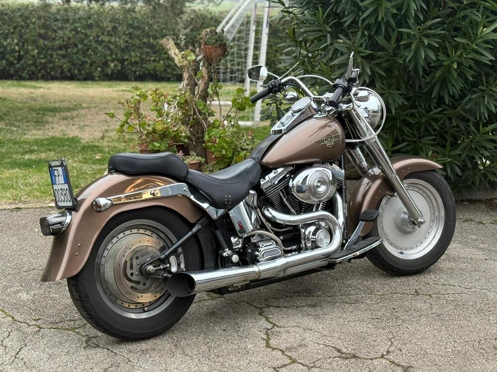 Harley-Davidson 1450 Fat Boy (2003 - 06) - FLSTFI (5)