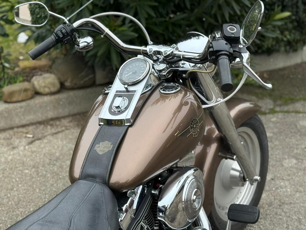 Harley-Davidson 1450 Fat Boy (2003 - 06) - FLSTFI (6)